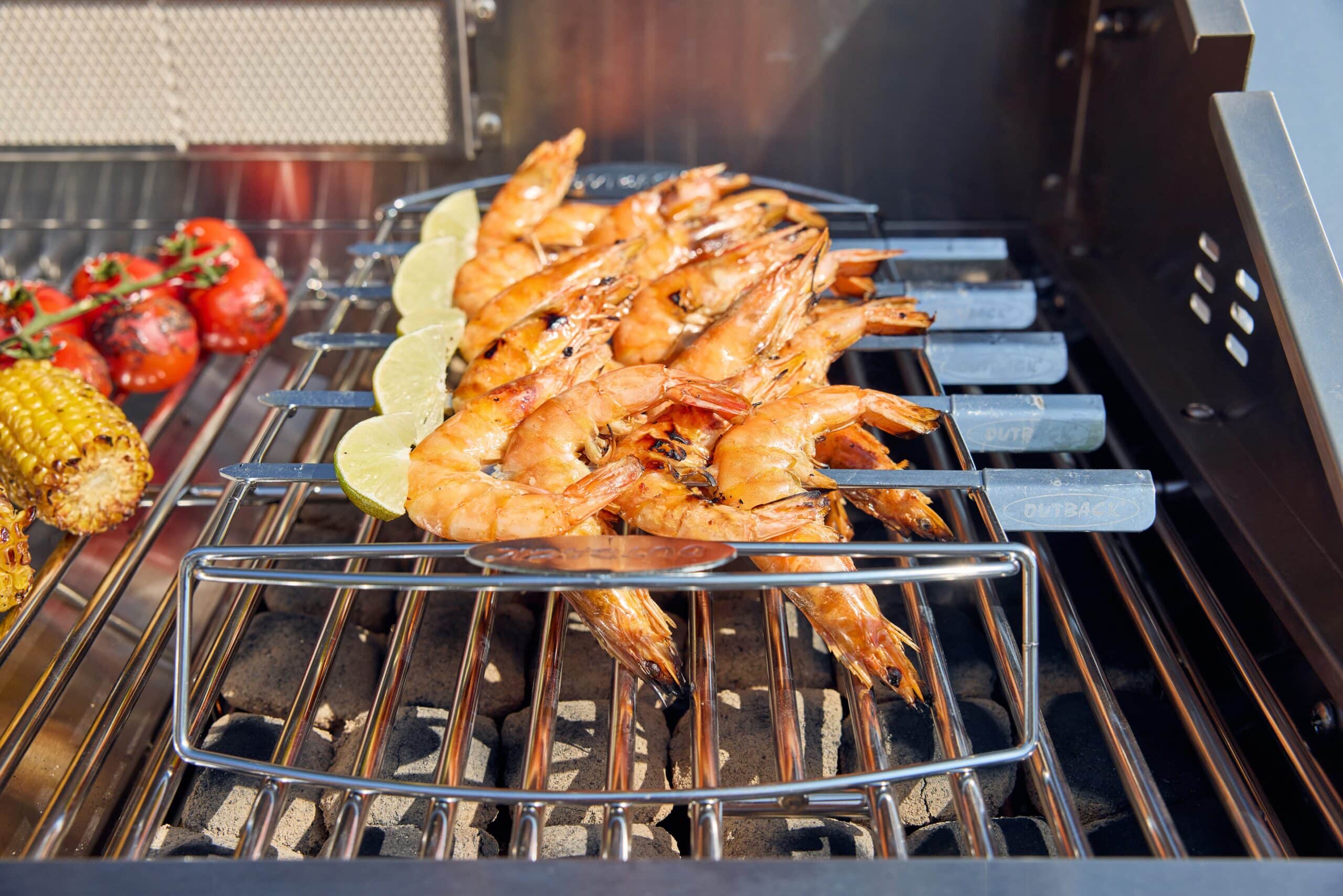 Kebab Rack & Skewers